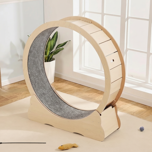 Bieżnia fitness dla kota